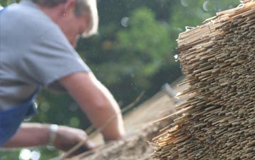 professional Auldyoch thatchers